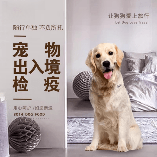 崇左市宠物托运到哥伦比亚猫狗宠物入境规定和