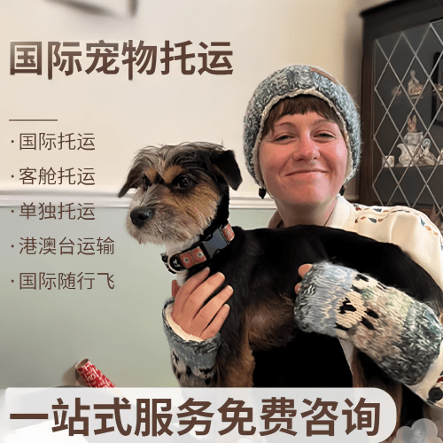 崇左市国际宠物托运到阿根廷宠物入境规定和要