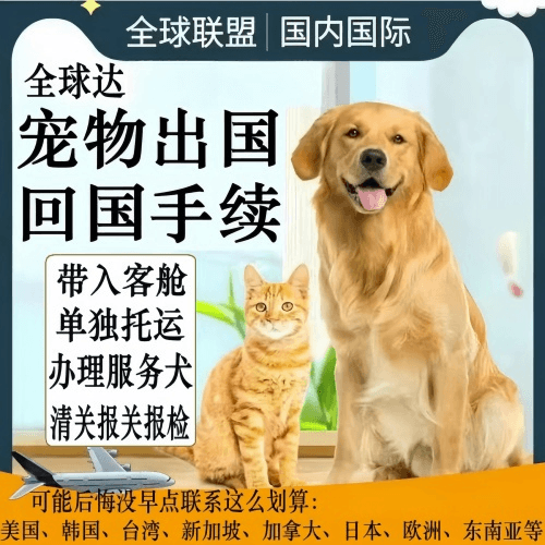 崇左市宠物托运到柬埔寨宠物入境规定和要求