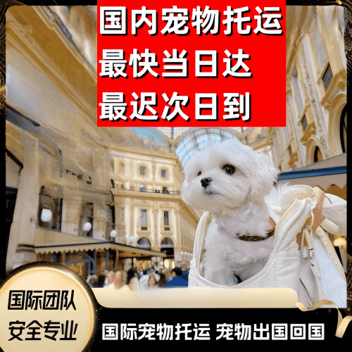 崇左市到澳大利亚（澳洲）宠物入境规定和要求