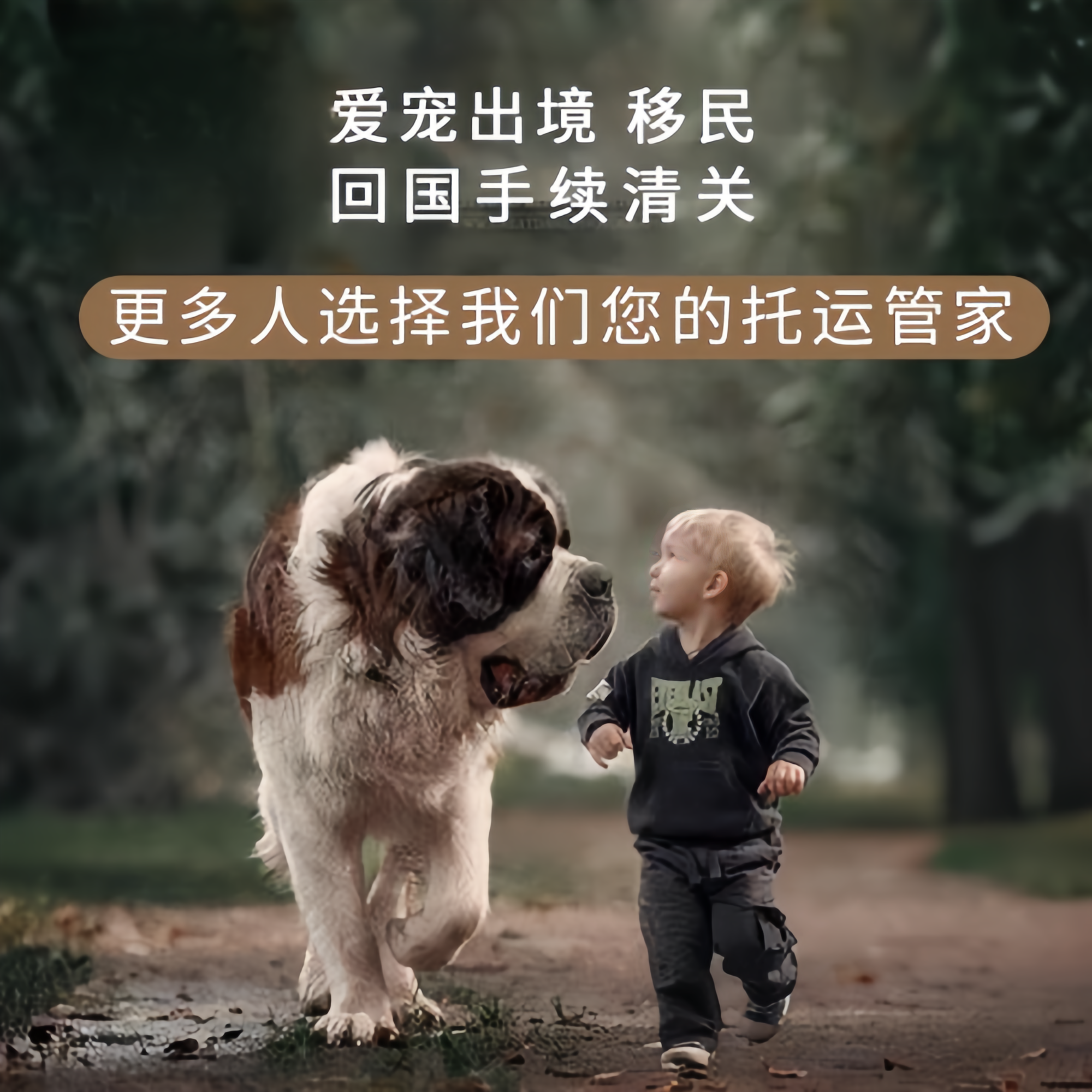 满财崇左市宠物全球达宠物托运在遵守入境目的地政策的条件