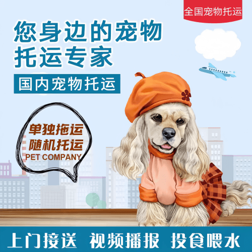 满财崇左市宠物全球达宠物托运作为专业的宠物运输代理机构